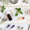 How Essential Oils Work in Our Brain?