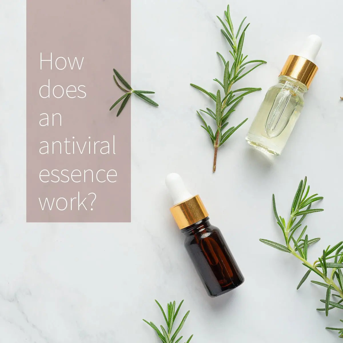 How does an antiviral essence work? - Lhamo Pad