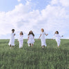 Incontinence Pads, But Better!
