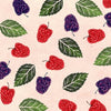 Herbal Focus: Raspberry Leaf